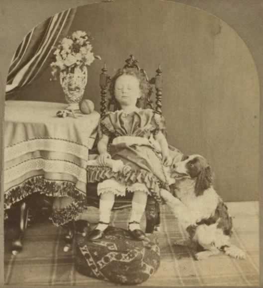 255784_456061554475595_1443433505_n